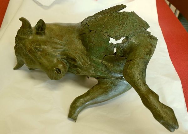 Museo della Sibaritide, il Toro Corazzante a Torino
