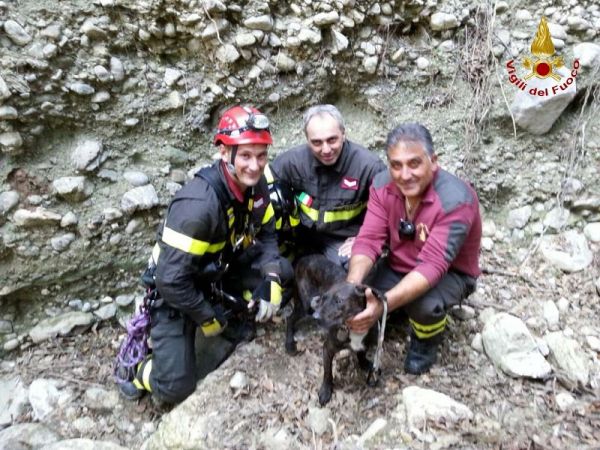 Vigili del fuoco, recuperato cane a Simeri Crichi