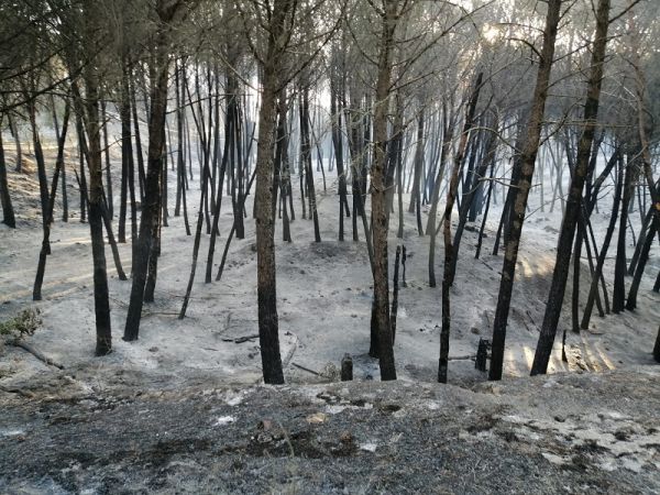 Motta S. Giovanni, verso lo stato di calamità