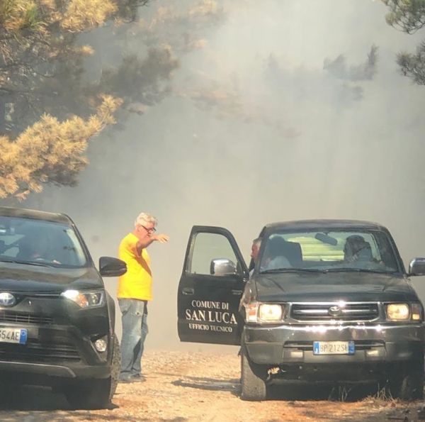 Parco d'Aspromonte, miracolosamente, le Faggete Vetuste resistono agli incendi