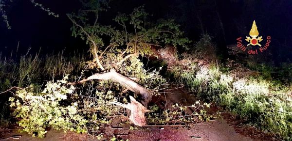 Vigili del Fuoco Catanzaro, interventi per forti raffiche di vento